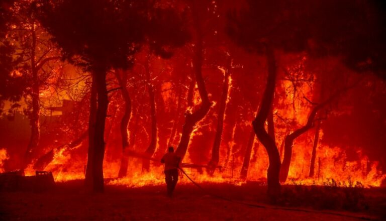 Meteo: Στάχτη περισσότερα από 1.200.000 στρέμματα στο καταστροφικό πέρασμα της φωτιάς στη χώρα μας