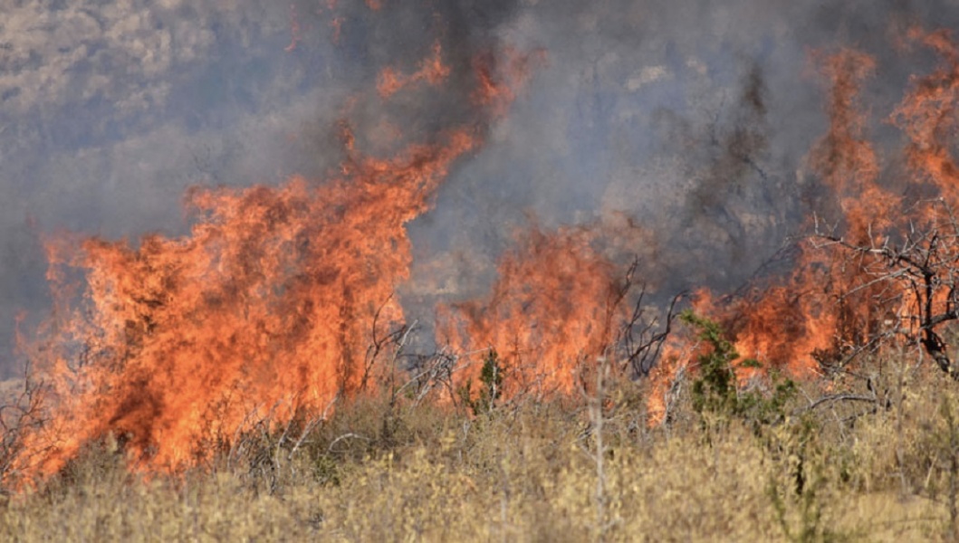 Έβρος: Προς απαγόρευση το κυνήγι λόγω της δασικής πυρκαγιάς