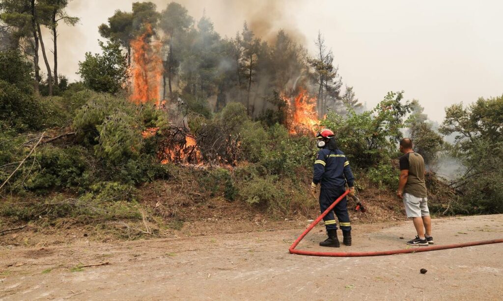 Φωτιά στην Εύβοια: Ένας 18χρονος ύποπτος για εμπρησμό – Τον κατήγγειλε η μητέρα του