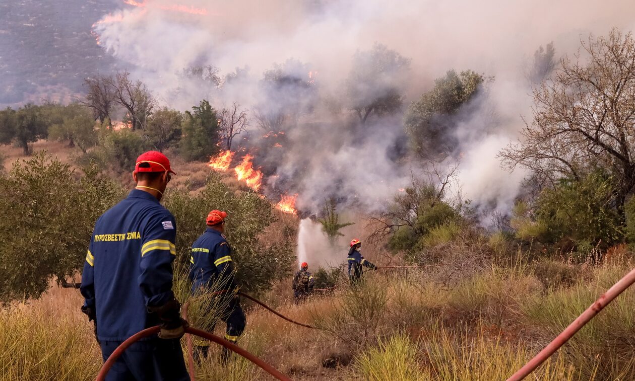 Φωτιά σε Λακωνία, Πιερία και Τζουμέρκα - Καίγεται χαμηλή βλάστηση