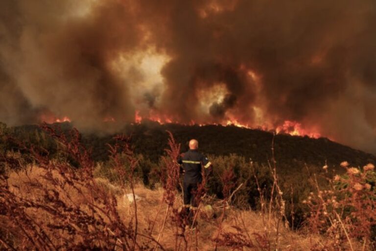 Politico: Στην Ελλάδα ψάχνουν αποδιοπομπαίο τράγο για τις καταστροφικές πυρκαγιές