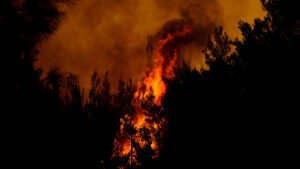 Δορυφορική απεικόνιση της καμένης έκτασης από τη φωτιά στον Έβρο - Κάηκαν πάνω από 812.000 στρέμματα