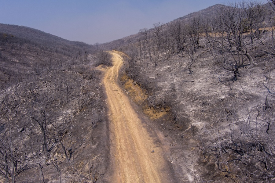 Έρχεται Έβρος pass - Το ανακοίνωσε στη Βουλή ο Κυριάκος Μητσοτάκης