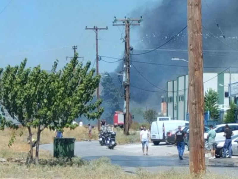 Φωτιά στη Μαγνησία: Μήνυμα από το 112 στην περιοχή Άσπρες Πεταλούδες