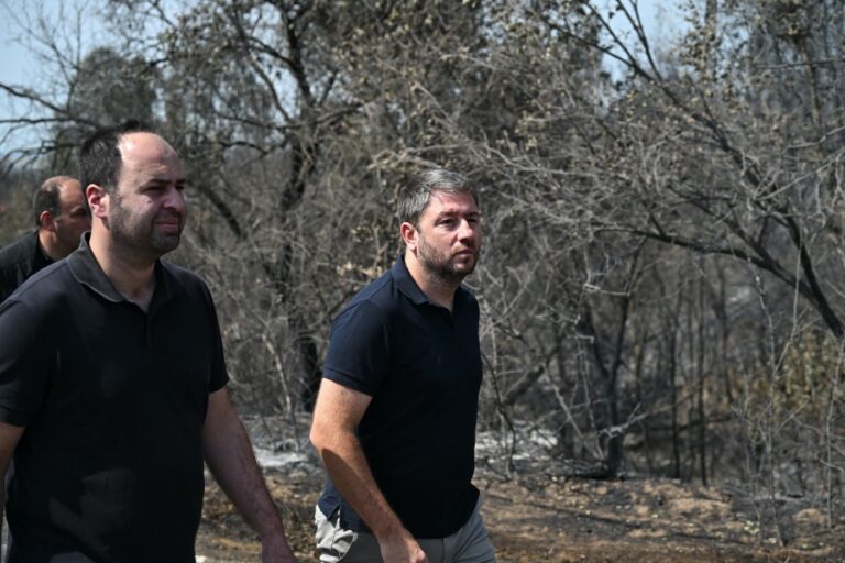 Ανδρουλάκης: Το κλειδί της αντιμετώπισης των πυρκαγιών στη χώρα μας είναι η πρόληψη