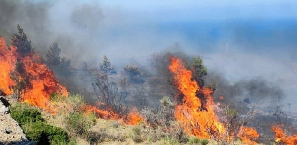 Στις φλόγες δασική έκταση στη Θεσσαλονίκη