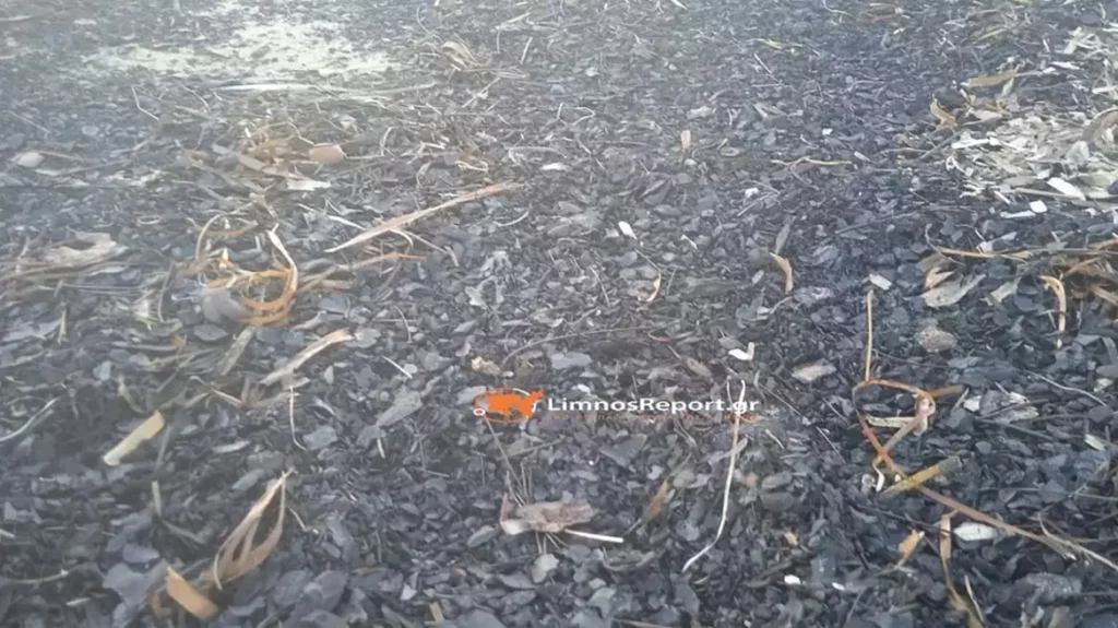 230902115239_apokaidia_evros