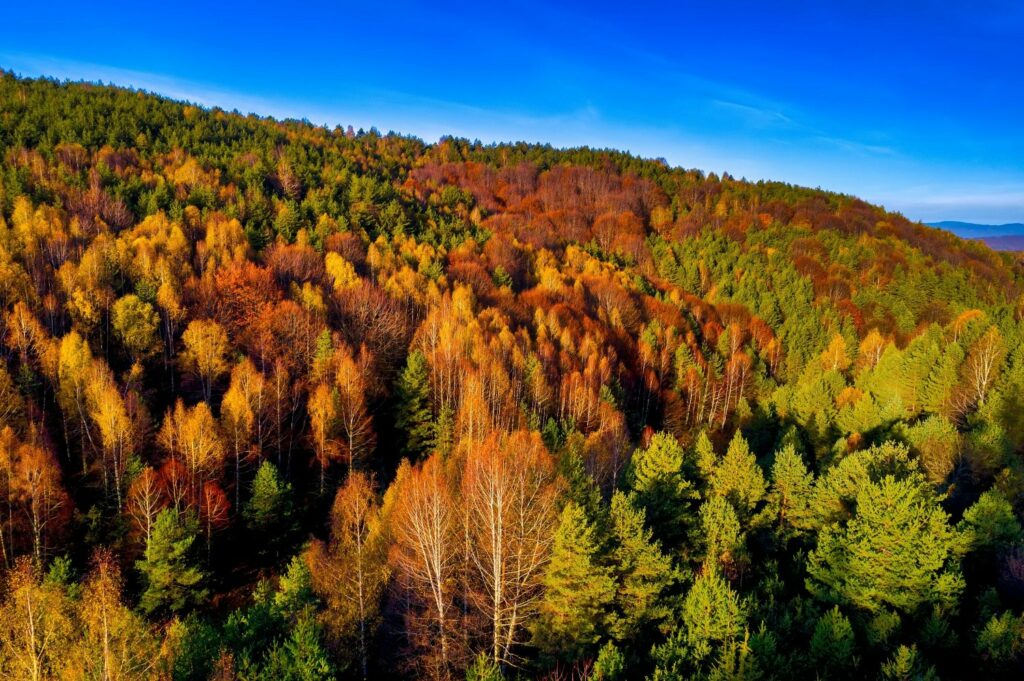 Τραγικό λάθος η κατάργηση των Φορέων Διαχείρισης προστατευόμενων περιοχών
