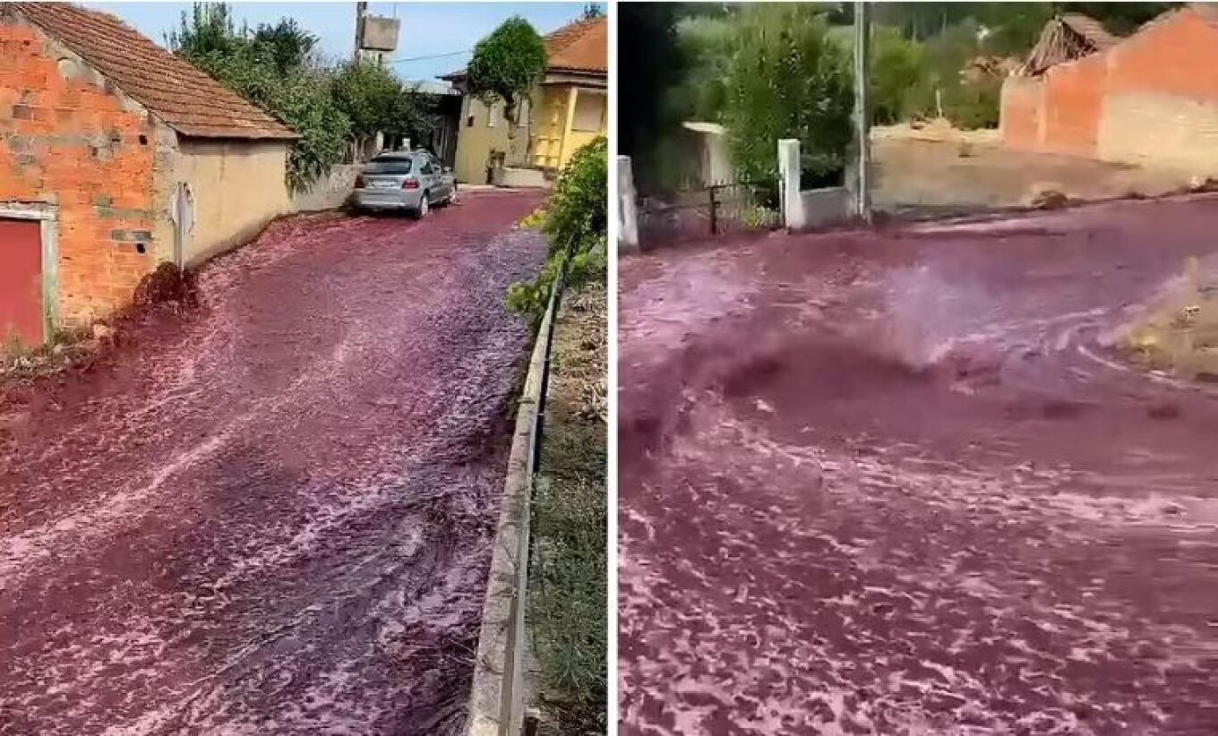 Βίντεο: Πόλη στην Πορτογαλία πλημμύρισε από κόκκινο κρασί