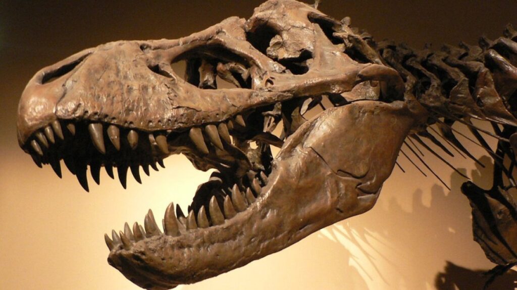 230919073812_t-rex-dinosaur