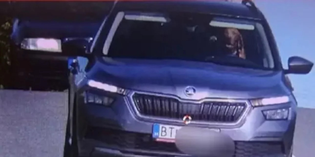 Άναυδοι αστυνομικοί σταμάτησαν όχημα που οδηγούσε...σκύλος - Του έκοψαν και πρόστιμο (βίντεο)