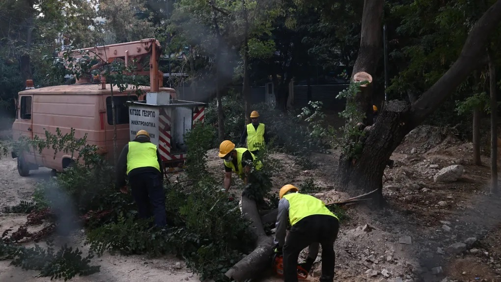 Κόντρα για τα δέντρα στα Εξάρχεια: Τι απαντάνε από το Μετρό - Τι λέει ο Δούκας για τη μελέτη