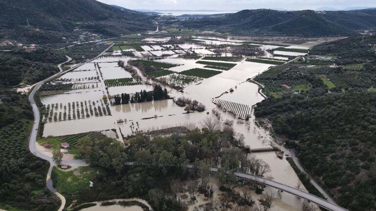 Θεσσαλία: Από σήμερα οι αποζημιώσεις σε κτηνοτρόφους για την κακοκαιρία Daniel