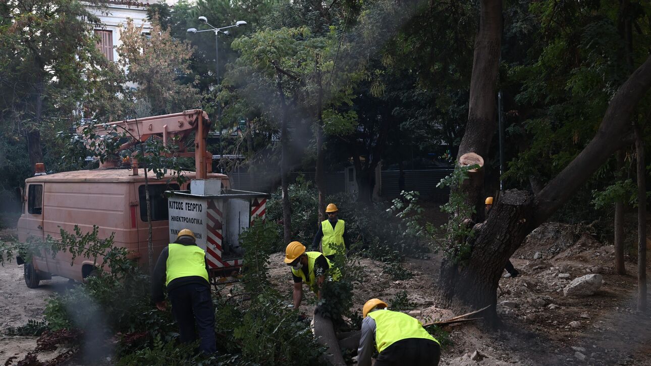 Εξάρχεια: Το ΣτΕ απέρριψε την αίτηση των κατοίκων για διακοπή της κοπής των δέντρων