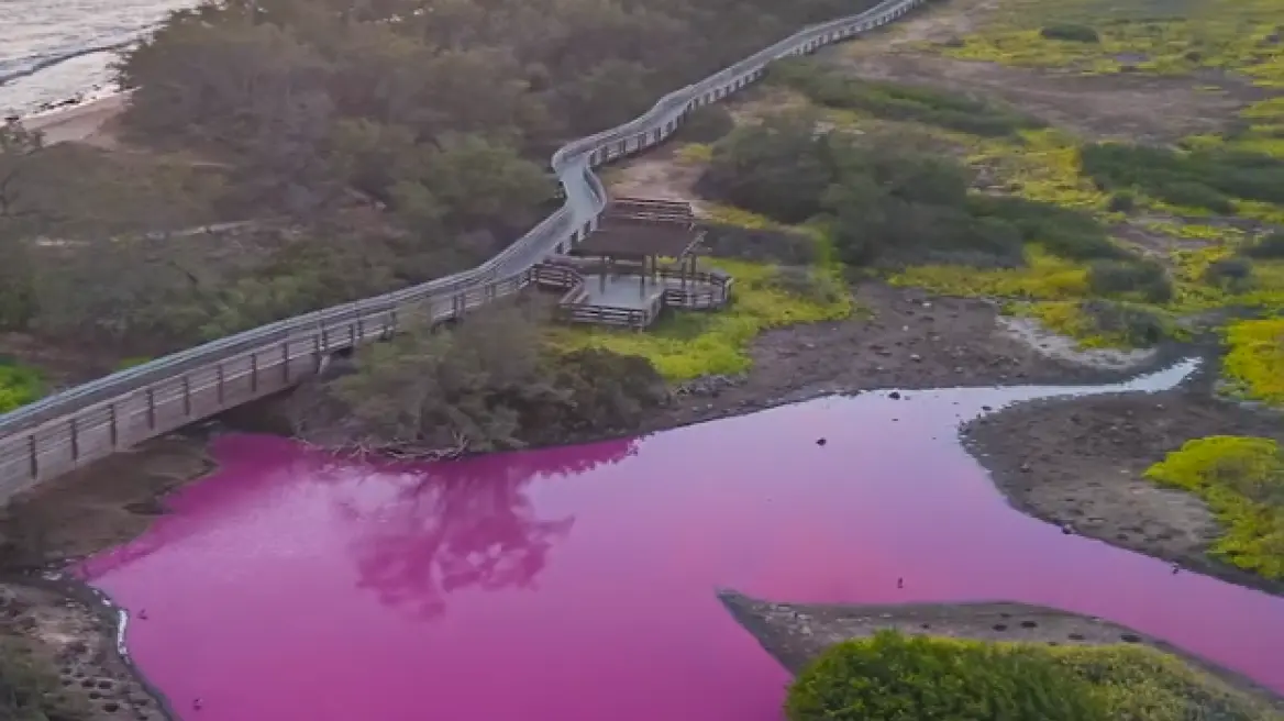 Χαβάη: Λίμνη έγινε ροζ – Τι εξετάζουν οι επιστήμονες