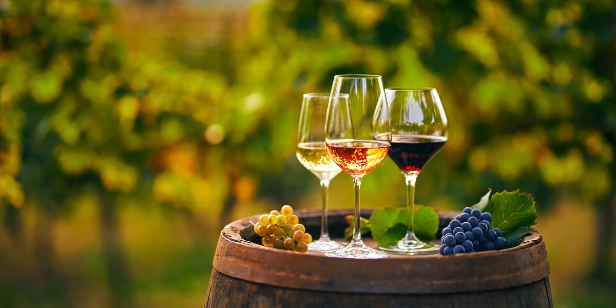 Στατιστικά Στοιχεία Eurostat: - Τι Αποκαλύπτουν για την παραγωγή κρασιού 2022