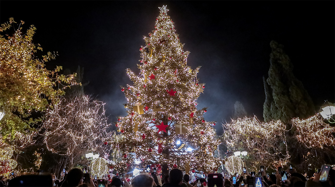 Χριστούγεννα 2023: Την Πέμπτη η φωταγώγηση του δέντρου στο Σύνταγμα