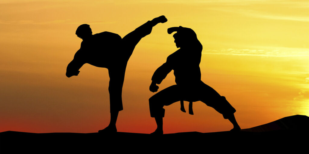 231125133533_o-KARATE-SILHOUETTE-facebook