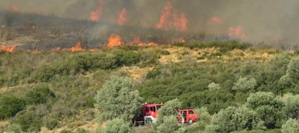 Μεγάλη φωτιά σε δασική περιοχή στο Πήλιο - Επιχειρούν επίγεια και εναέρια μέσα