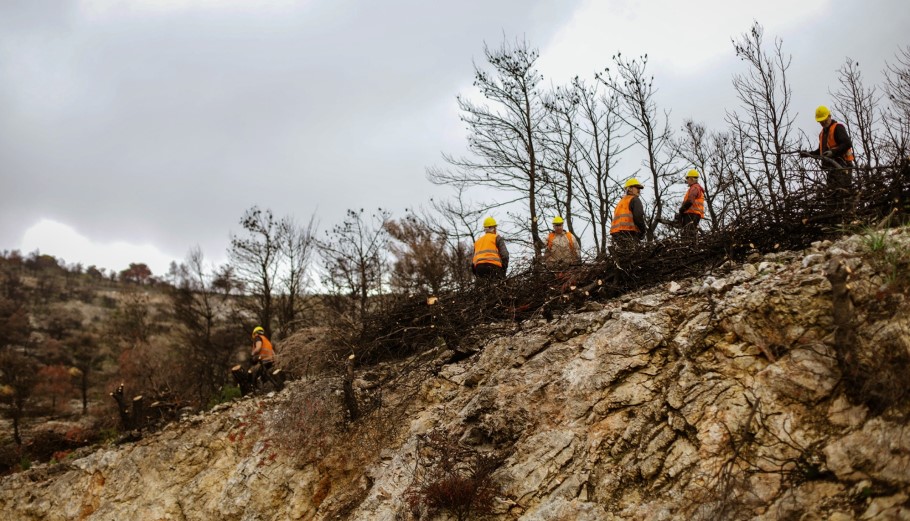 Η ΔΕΗ χορηγεί 2,5 εκατ. ευρώ για αποκατάσταση 13.600 στρεμμάτων στην Πάρνηθα
