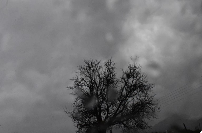 231228100452_vrohi