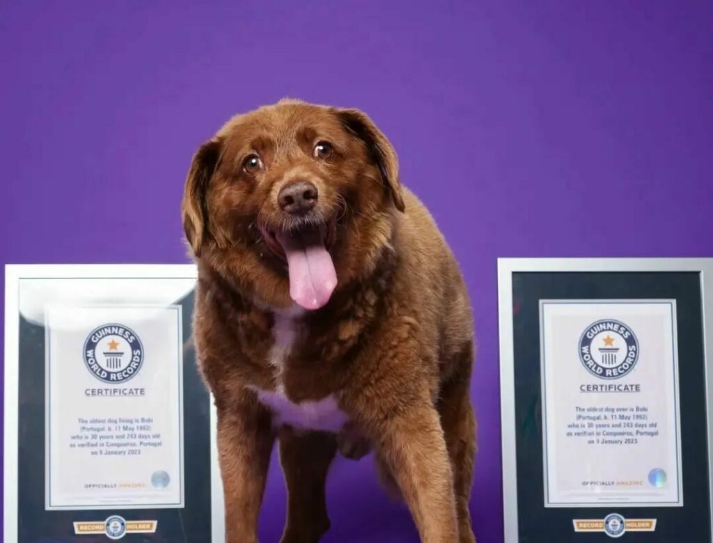 231230100535_guinness-record