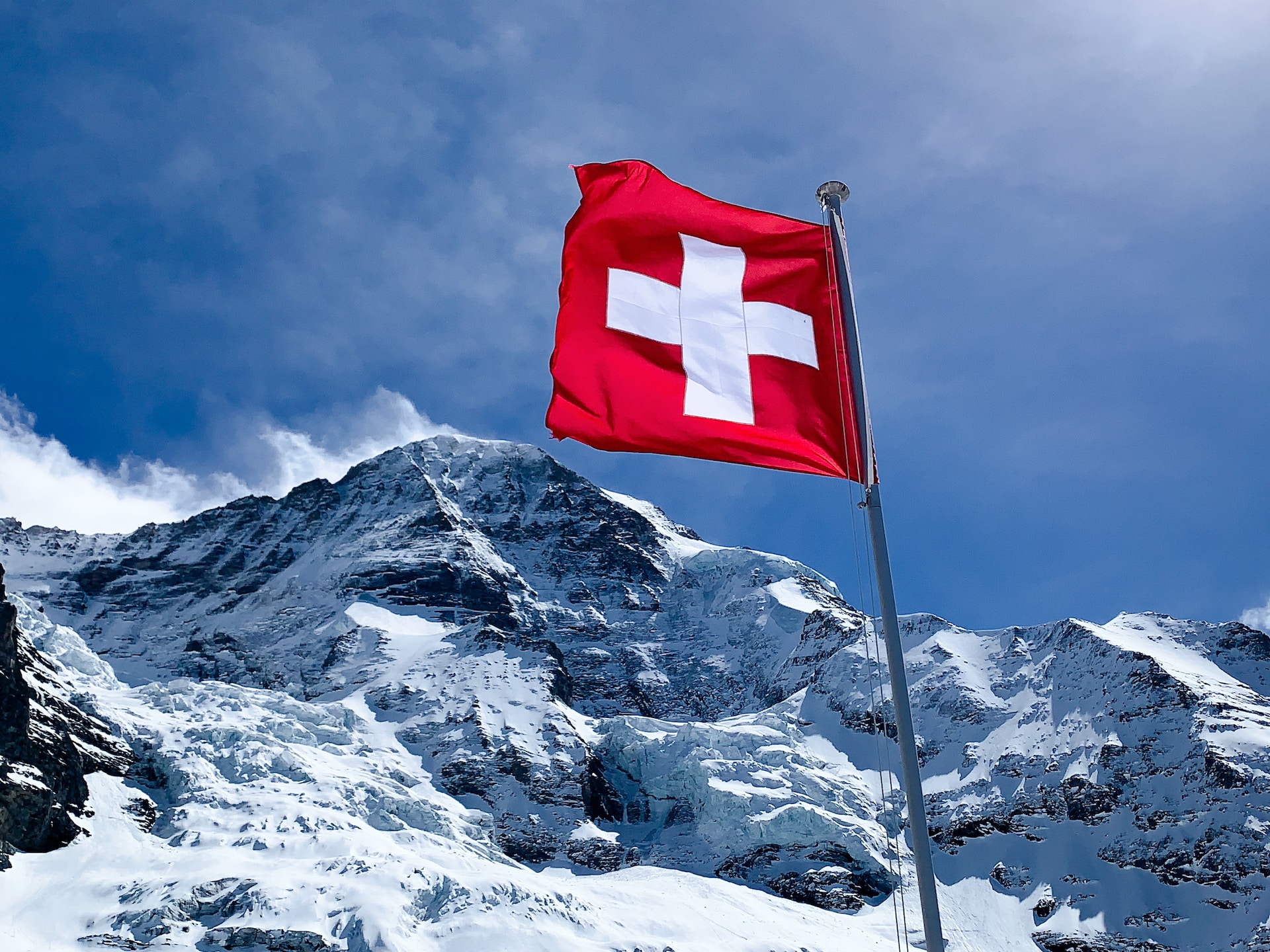 Ελβετία: Δημοψήφισμα για το φουά γκρα και τις γούνες ζώων