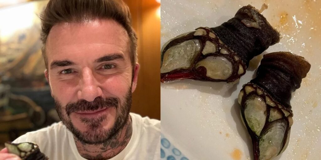 Ξετρελάθηκε ο Ντέβιντ Μπέκαμ με σπάνια θαλασσινά παρά την άσχημη όψη τους