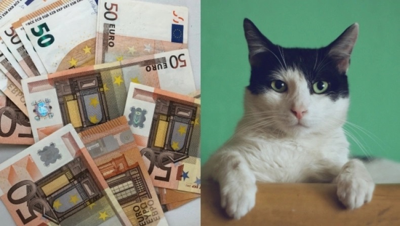 Ηλικιωμένη άφησε περιουσία εκατομμυρίων σε κατοικίδια και οι κληρονόμοι τρέχουν και δεν φτάνουν