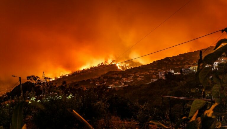 Φωτιές στη Χιλή: Τουλάχιστον 51 νεκροί - Στάχτη 430.000 στρέμματα δάσους