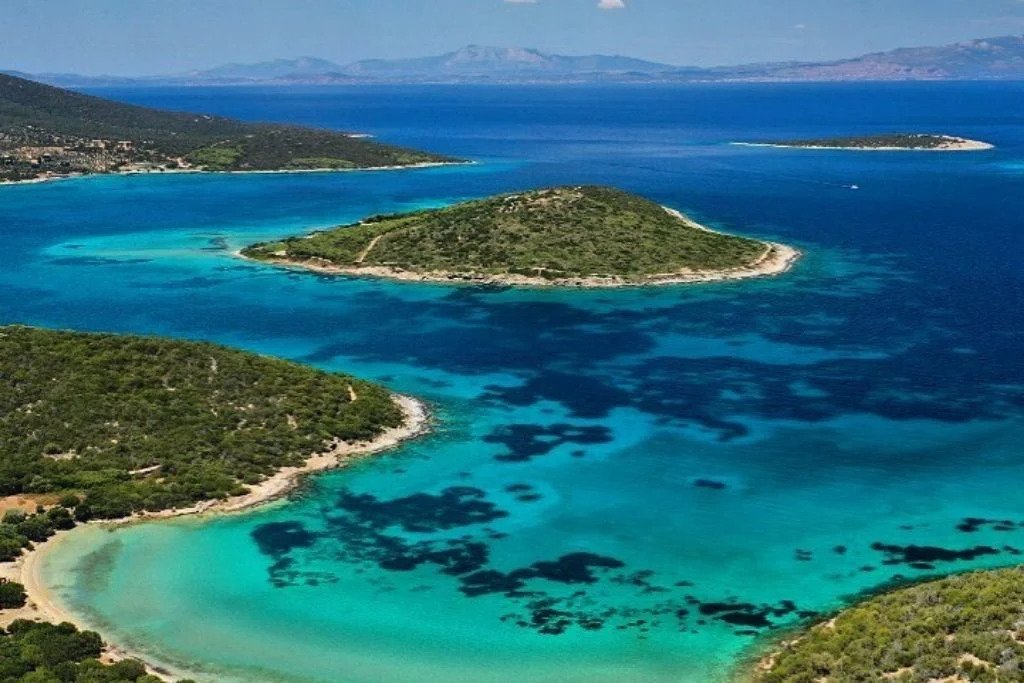Πεταλιοί