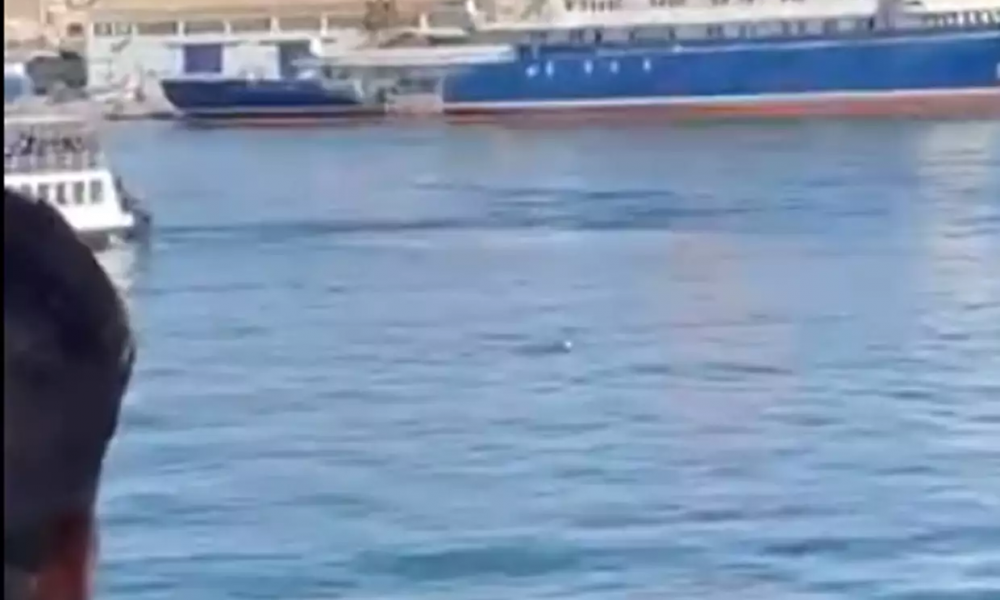 Σαλαμίνα: Άνδρας βρέθηκε να επιπλέει στη μέση της θάλασσας
