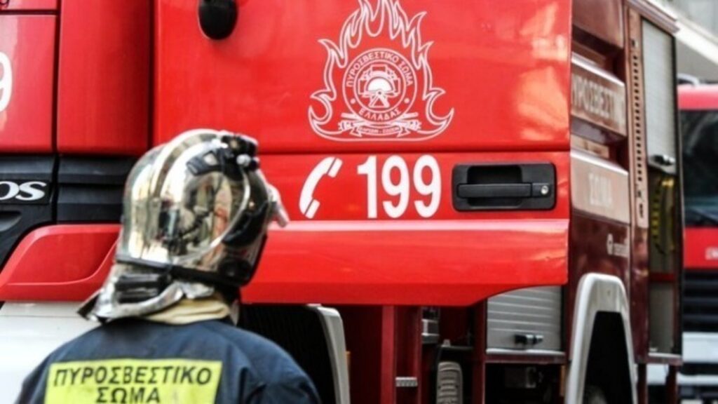 Ροδόπη: Πυρκαγιά σε δασική έκταση στους Ασκητές