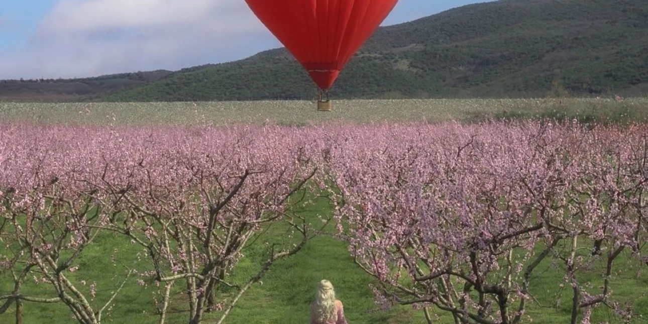 Ένα αερόστατο σε σχήμα καρδιάς πάνω από τις ανθισμένες ροδακινιές της Βέροιας -Εντυπωσιακές φωτογραφίες