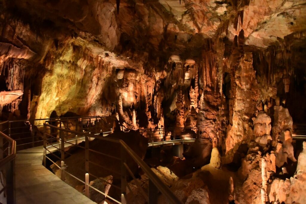 Χαλκιδική: Εγκαινιάστηκε το αναβαθμισμένο Σπήλαιο των Πετραλώνων - Επισκέψιμο ξανά για το κοινό