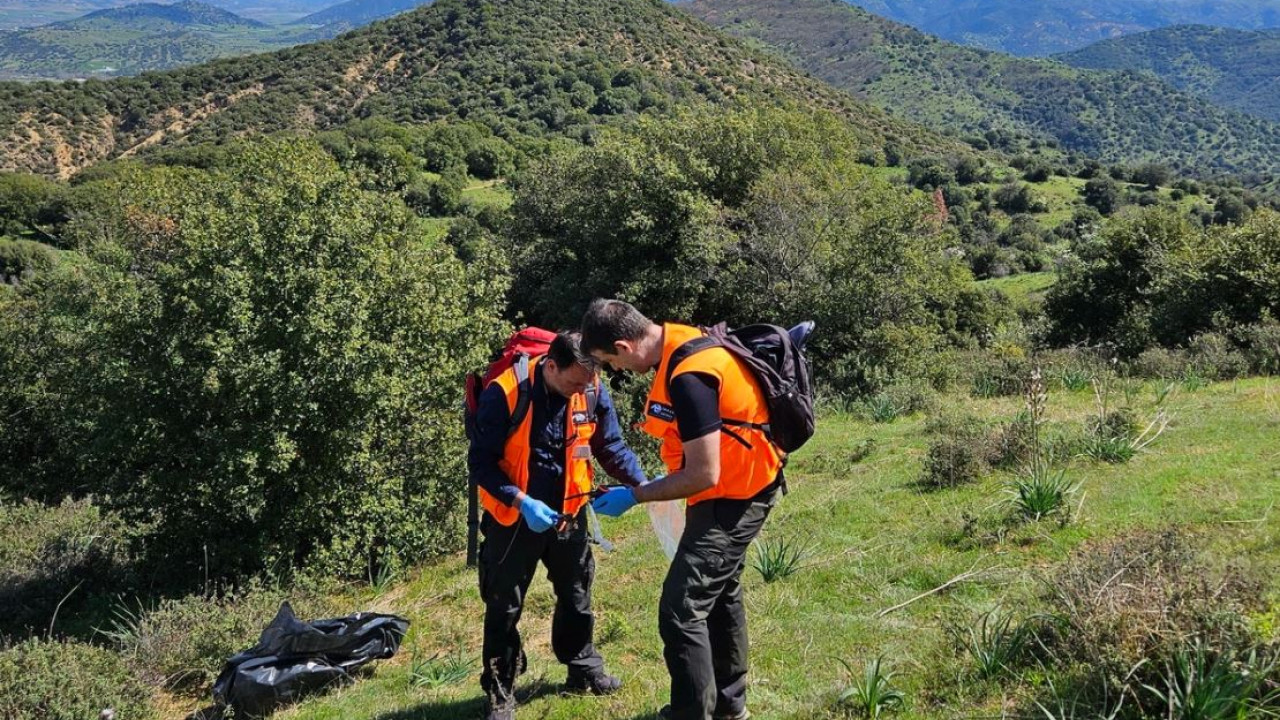 Θεσσαλία: Εντοπίστηκαν δηλητηριασμένα δολώματα και νεκρά ζώα