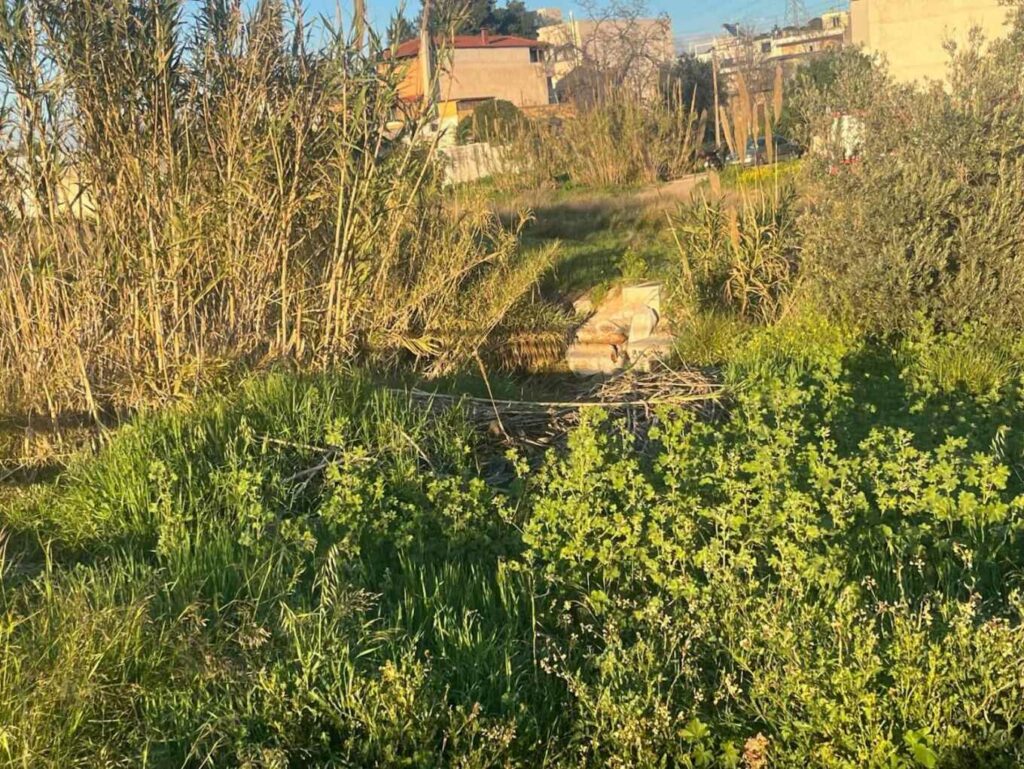 Πτώμα εντοπίστηκε σε ρέμα στο Ίλιον - Εξετάζεται το ενδεχόμενο της αυτοκτονίας