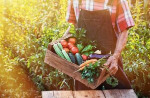 ΕΕ: Σε επίπεδα ρεκόρ το εμπόριο αγροδιατροφικών προϊόντων