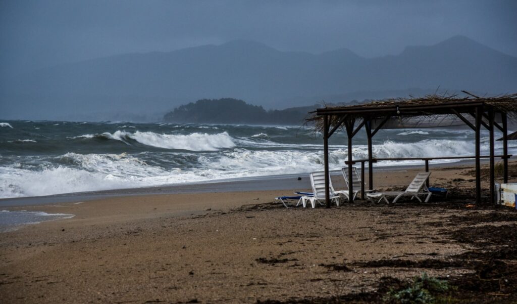 240423081940_kimata1