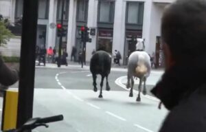 Βρετανία: Αναστάτωση στο Λονδίνο - Άλογα κάλπαζαν ελεύθερα στο κέντρο της πόλης