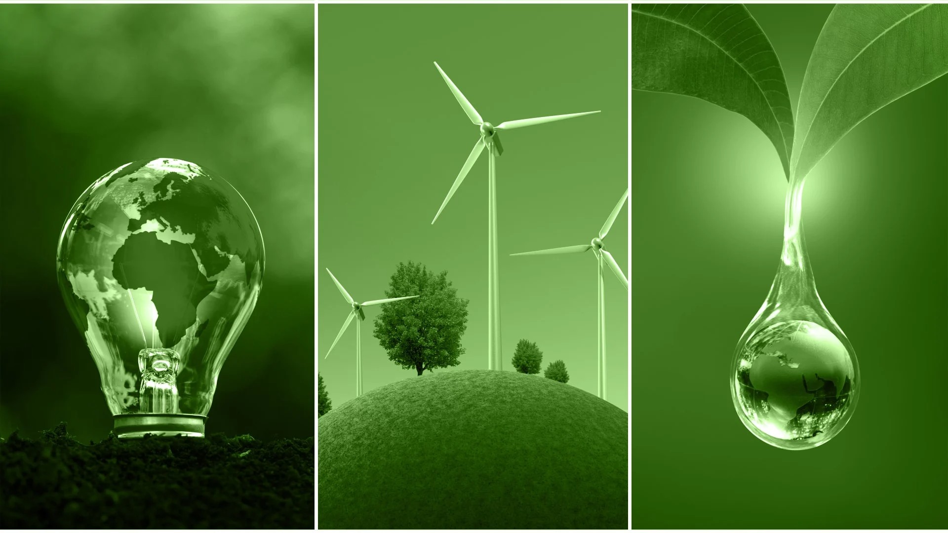 Ενέργεια: Το 30% της παγκόσμιας παραγωγής προήλθε από ανανεώσιμες πηγές το 2023
