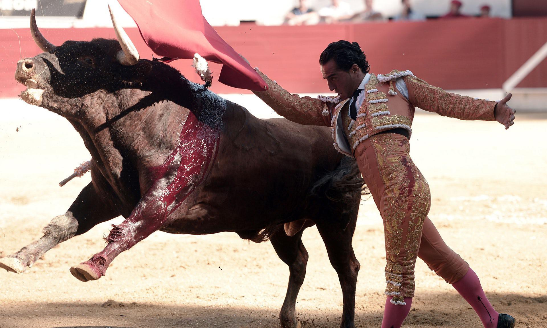 Ισπανία: Μάχη για τη συνέχιση ή μη των ταυρομαχιών