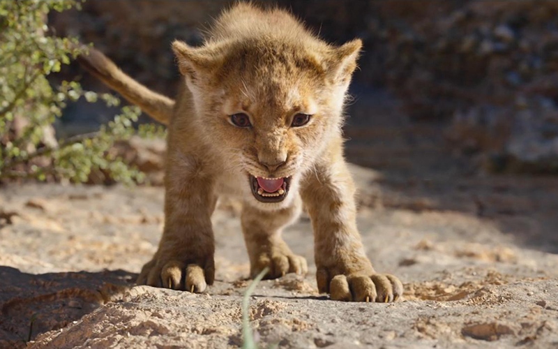240501071751_The-Lion-King-2019-19