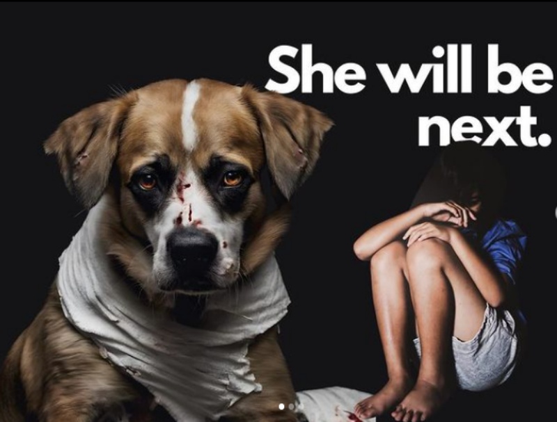 Διήμερο σεμινάριο Zero Stray Pawject: Γιατί μας αφορά όλους η κακοποίηση των ζώων;