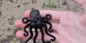 13χρονος βρήκε συλλεκτικό Lego χταπόδι που είχε χαθεί το 1997 σε ναυάγιο στην Κορνουάλη