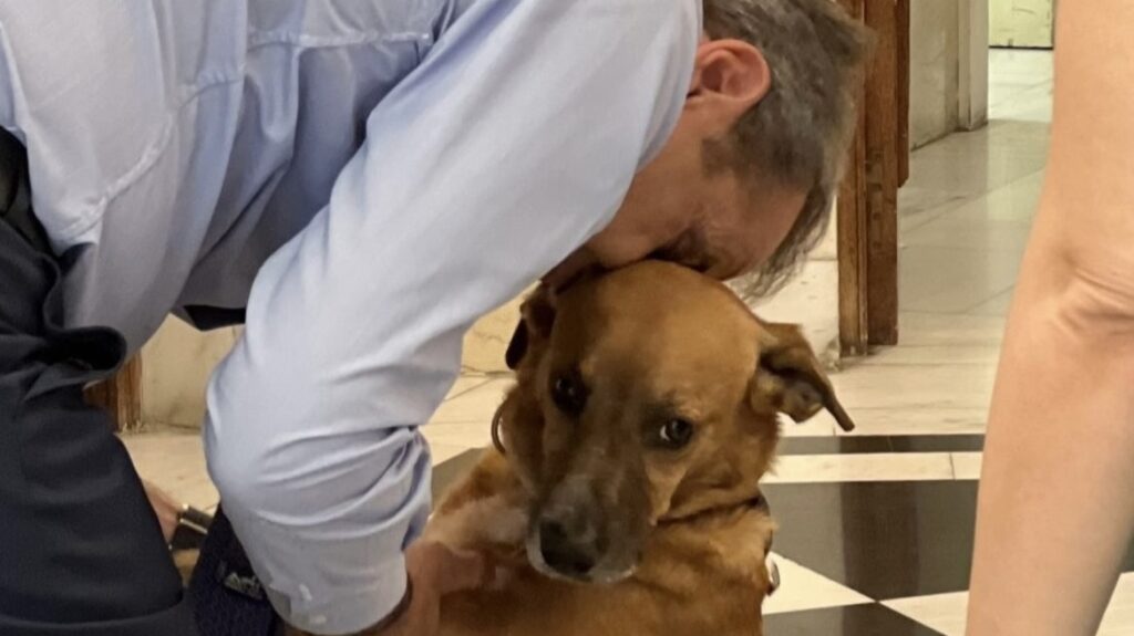 Κυριάκος Μητσοτάκης