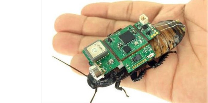 240513135007_katsarida-cyborg-mast-696×345