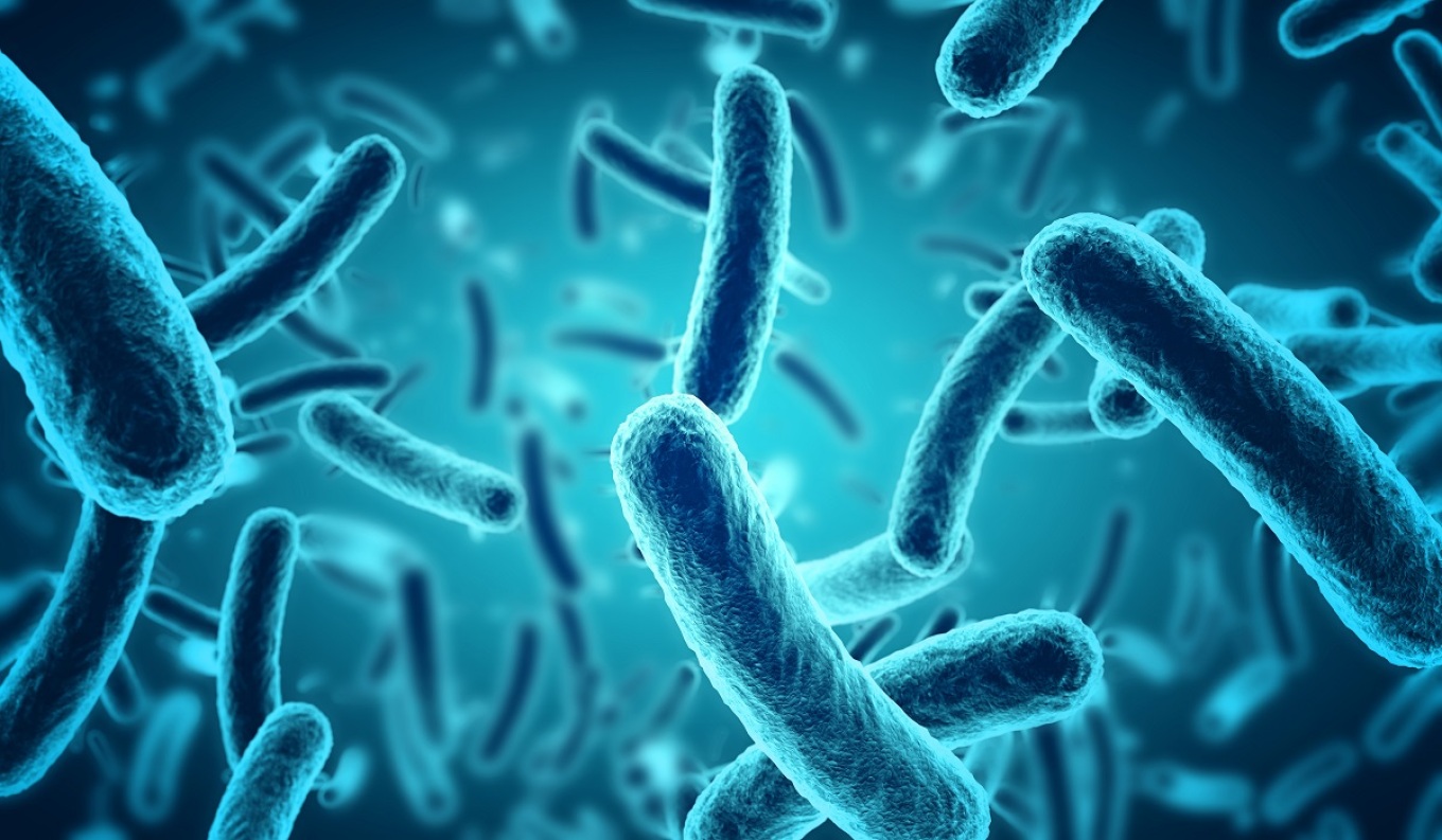 Βρετανία: Ασήμαντη η πανδημία Covid μπροστά στην αύξηση των σούπερ ανθεκτικών μικροβίων, προειδοποιούν οι ειδικοί