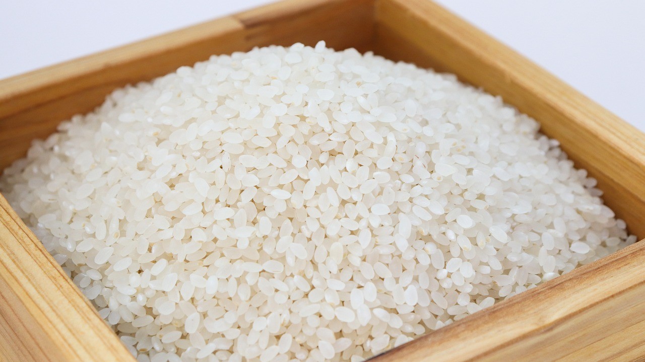 Ρύζι: Σε υψηλό 15 ετών – Ο καιρός πλήττει και πάλι τις καλλιέργειες
