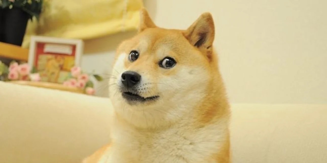 Πέθανε ο σκύλος από την Ιαπωνία που ενέπνευσε χιλιάδες memes και έγινε σύμβολο του Dogecoin